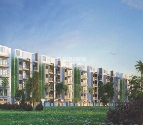 Trifecta Joli Featured Image