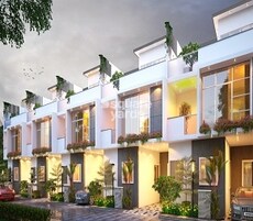 Trifecta Verde En Resplandor Featured Image