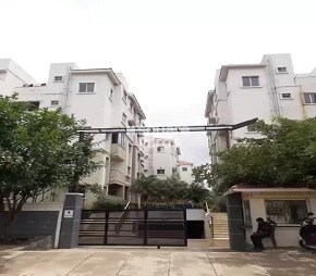 Trinity Home Stead