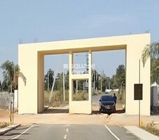 Unique Influx Woods Featured Image