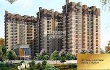 United Dreamcity Featured Image