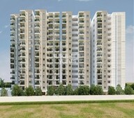 United Sai Green Woods Video