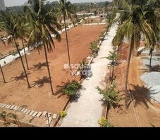 V Forest View Featured Image