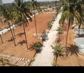 V Forest View