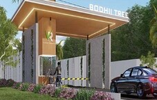 Vaishnavi Bodhii Tree Featured Image