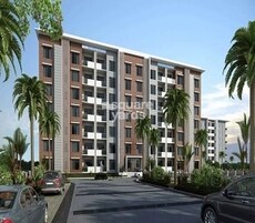 Vakil Daffodils Featured Image