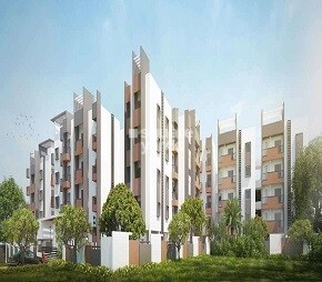 Vakil Magnolia