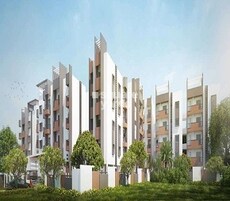 Vakil Magnolia Featured Image