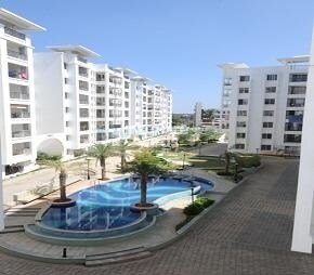 Value Designbuild VDB Celadon