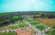 Varada Sizzle Evergreen Featured Image