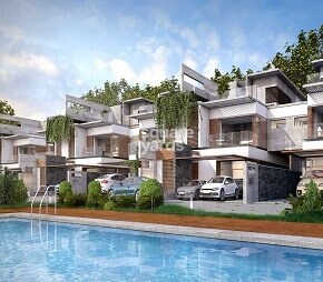 Vaswani Walnut Creek