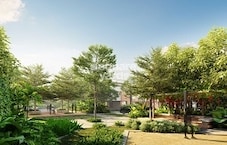 VDB Hush Fields Featured Image