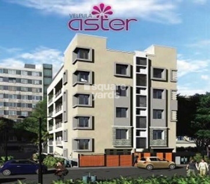 Velpula Aster Cover Image