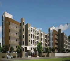 Vijaya Aqua Green Featured Image