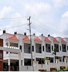 Vineyard Cornerstone Vineyard Cornerstone