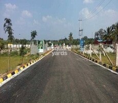 VIP Cosmo Square Featured Image