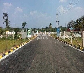 Representative image as actual visual unavailable for VIP Cosmo Square