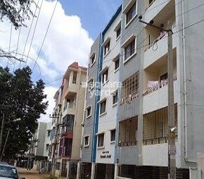 Vishnu Priya Parimala Orchid Featured Image