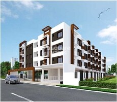 Vishwas Carnation Featured Image