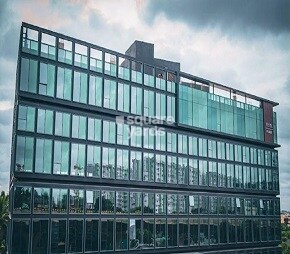 Vista Pixel Featured Image