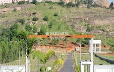 Wellnest Melville County Featured Image