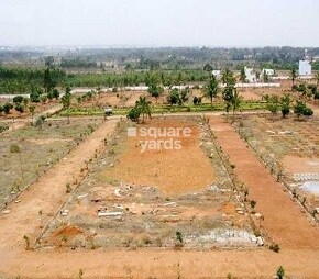 West City Maple Blue Valley Featured Image