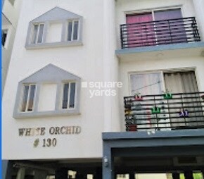 White Orchid Kodichikknahalli