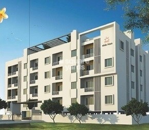 White Petals Featured Image