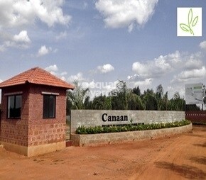 White Spring Canaan