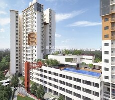 Windsor Troika Featured Image