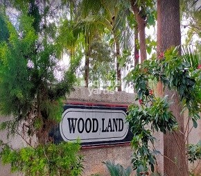 Wood Land CHS