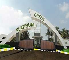 Ziva Platinum Green Plot Flagship