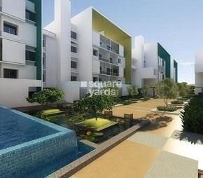 Zonasha Vista Featured Image