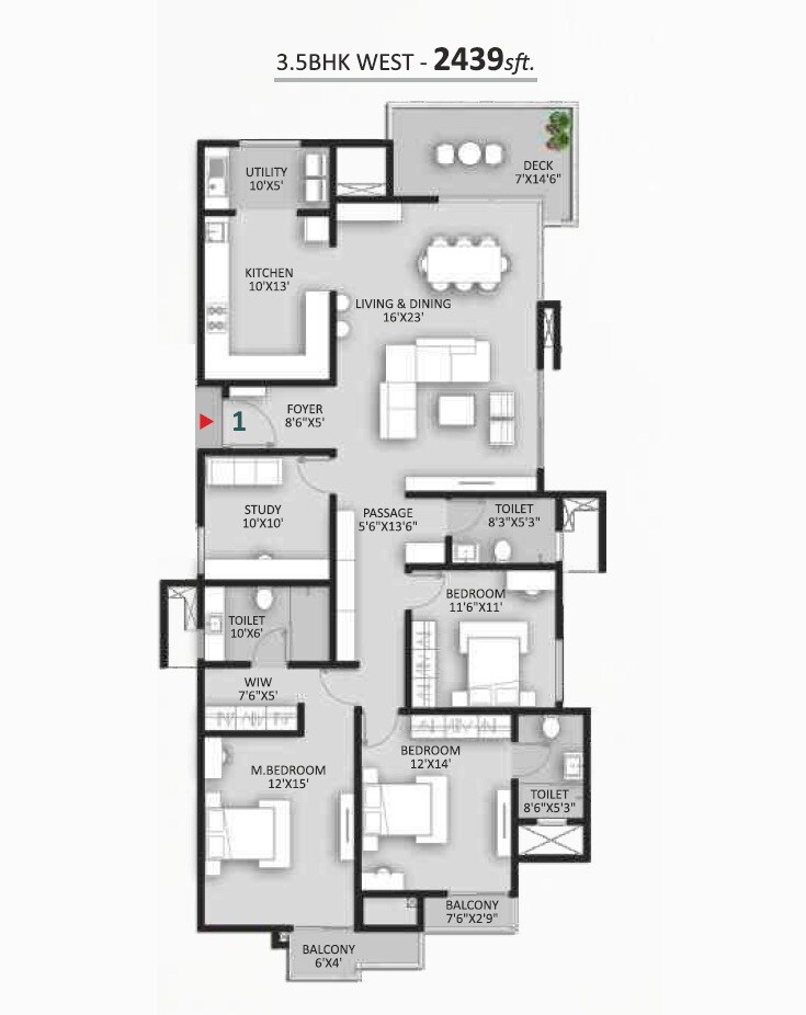 3 BHK 2439 Sq. Ft. Apartment