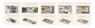 SRK The Roots 3 BHK Layout