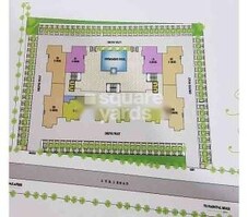 Tulip Grace Featured Image