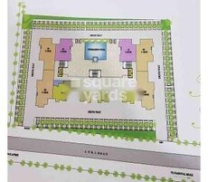 Tulip Grace Featured Image