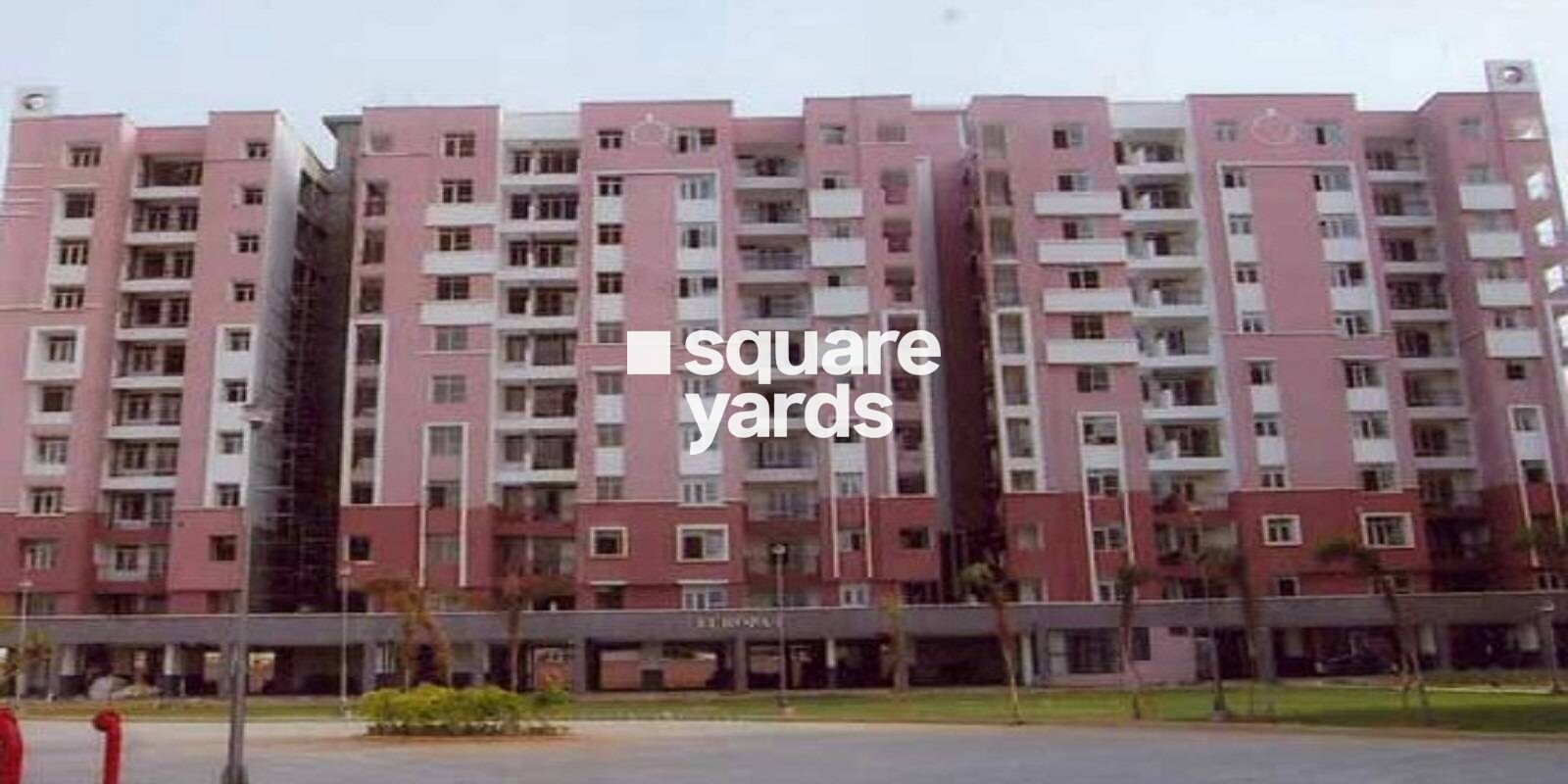 kajaria-green