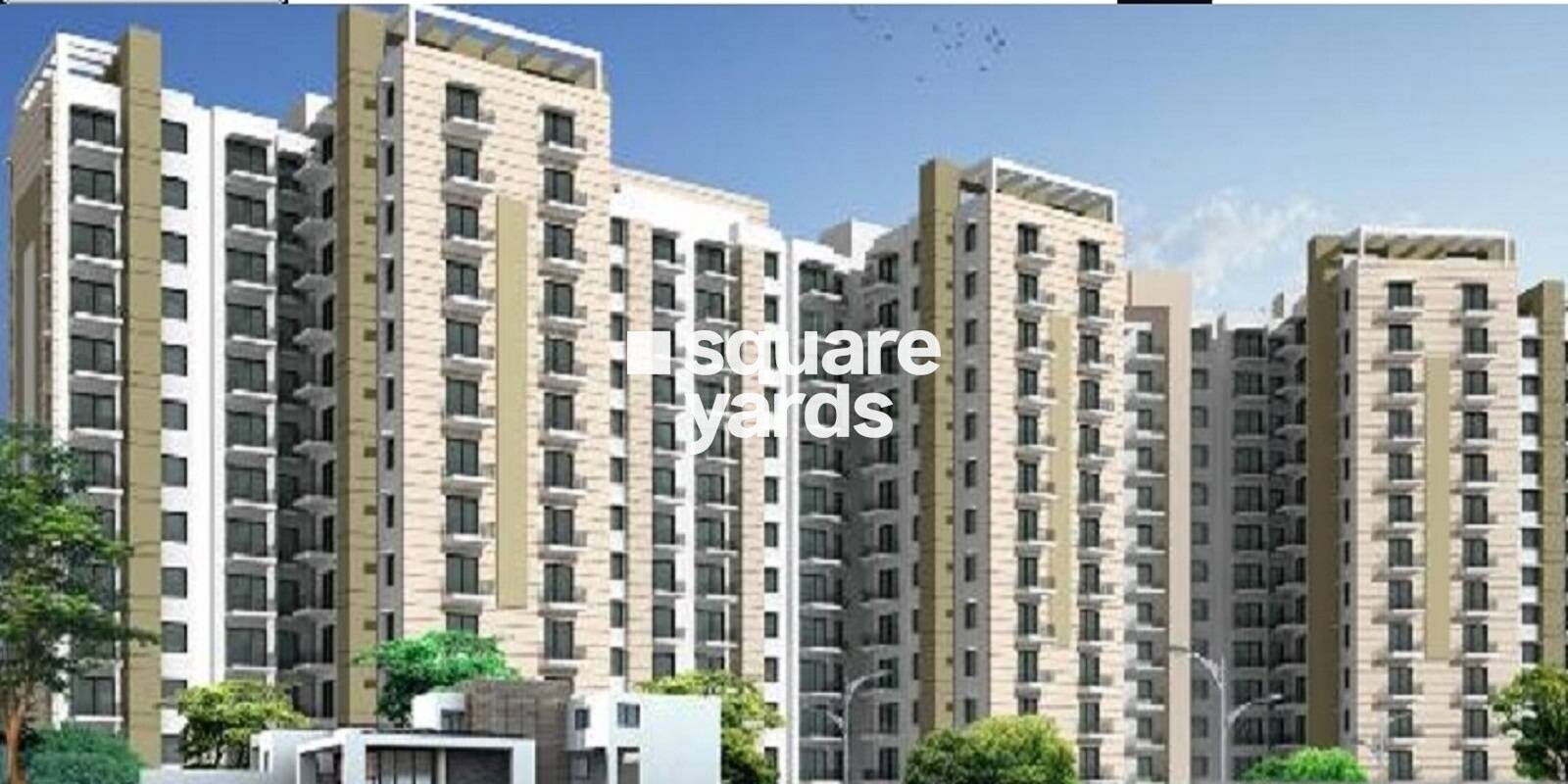 MTech Camellia Garden