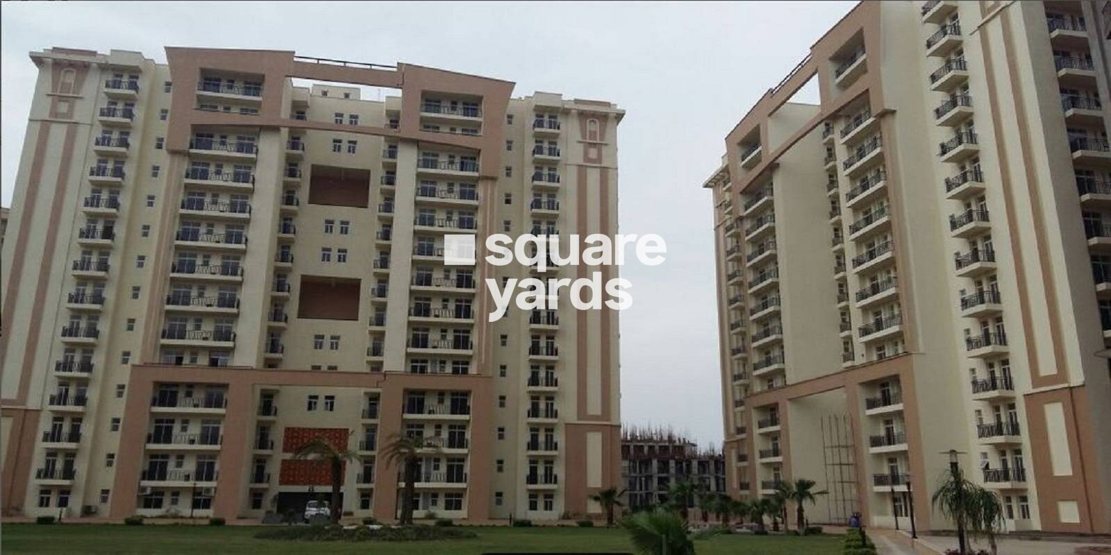 nimai-greens