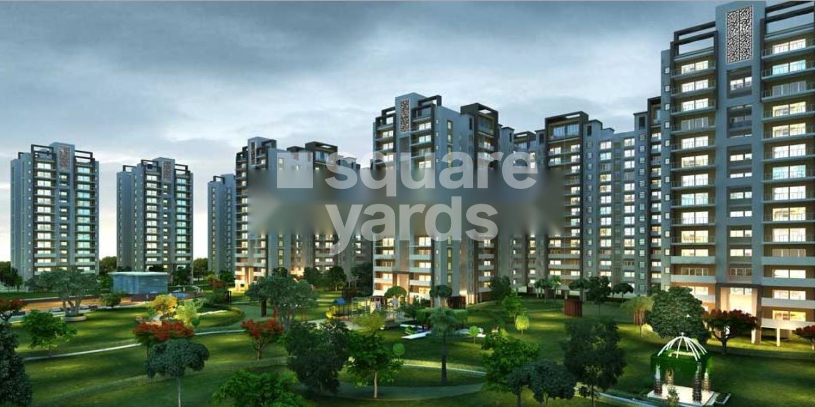 Paradise The Cadence Featured Image