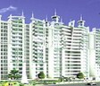The Essentia Olive Homes