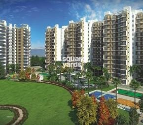Avalon Rosewood Featured Image