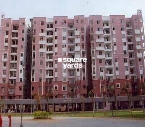 Kajaria Green Featured Image