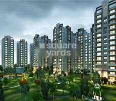 Paradise The Cadence Featured Image