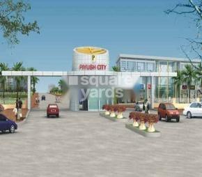 Piyush City