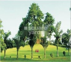 Silver X City Featured Image