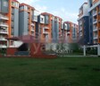 Asnani Spring Valley Dew
