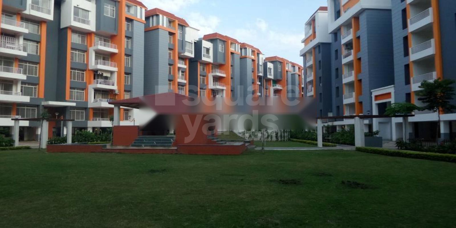 Asnani Spring Valley Dew