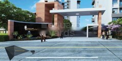 Fortune Executive